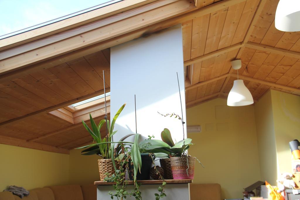 Hostel Curavacas Triollo Buitenkant foto